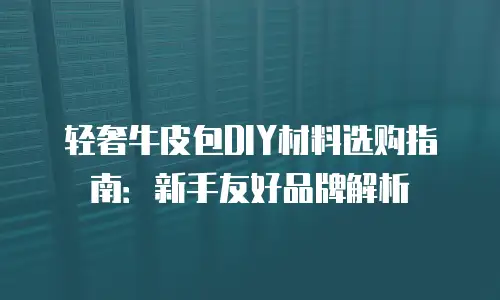 轻奢牛皮包DIY材料选购指南：新手友好品牌解析