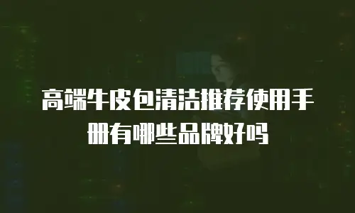 高端牛皮包清洁推荐使用手册有哪些品牌好吗