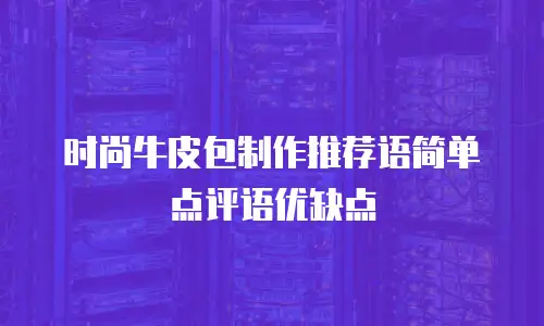 时尚牛皮包制作推荐语简单点评语优缺点