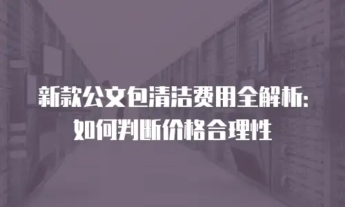 新款公文包清洁费用全解析：如何判断价格合理性