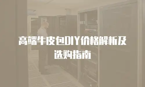 高端牛皮包DIY价格解析及选购指南