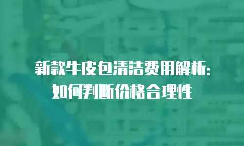 新款牛皮包清洁费用解析：如何判断价格合理性