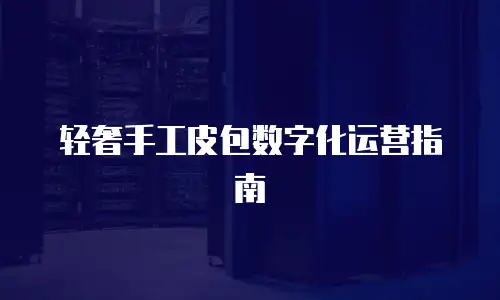轻奢手工皮包数字化运营指南