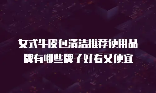 女式牛皮包清洁推荐使用品牌有哪些牌子好看又便宜
