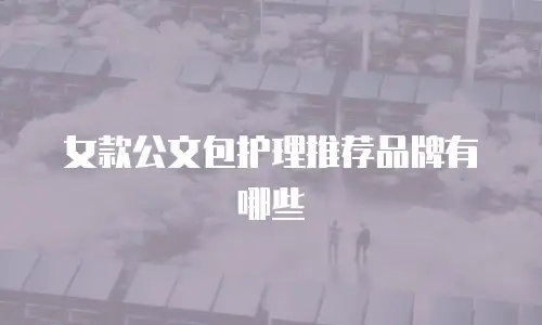 女款公文包护理推荐品牌有哪些