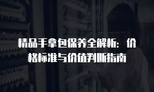 精品手拿包保养全解析：价格标准与价值判断指南