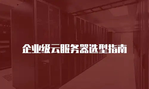 企业级云服务器选型指南