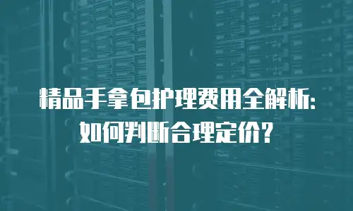 精品手拿包护理费用全解析：如何判断合理定价？