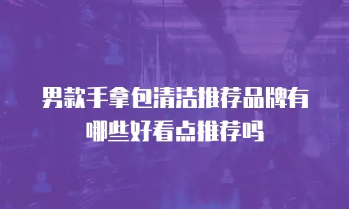 男款手拿包清洁推荐品牌有哪些好看点推荐吗
