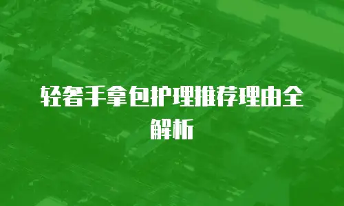 轻奢手拿包护理推荐理由全解析