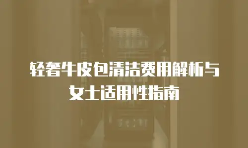 轻奢牛皮包清洁费用解析与女士适用性指南