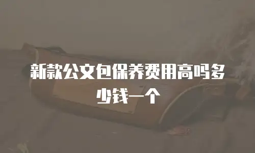 新款公文包保养费用高吗多少钱一个