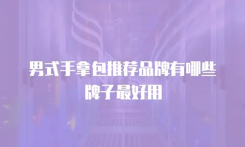 男式手拿包推荐品牌有哪些牌子最好用