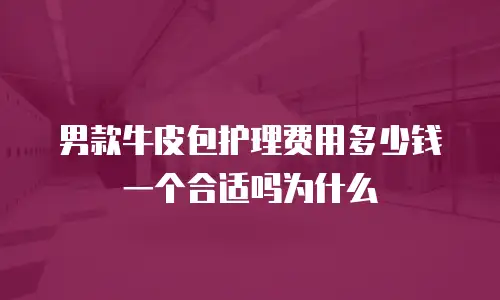 男款牛皮包护理费用多少钱一个合适吗为什么