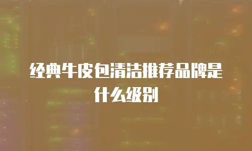 经典牛皮包清洁推荐品牌是什么级别