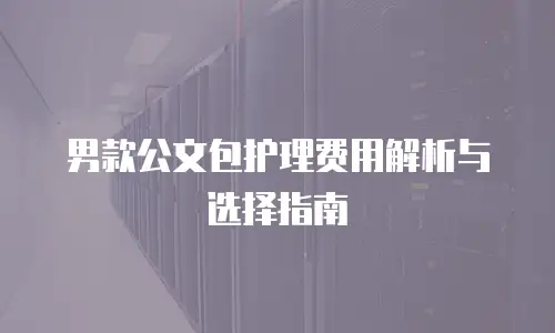 男款公文包护理费用解析与选择指南