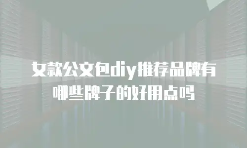 女款公文包diy推荐品牌有哪些牌子的好用点吗