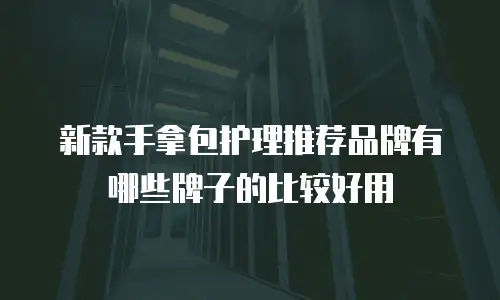 新款手拿包护理推荐品牌有哪些牌子的比较好用