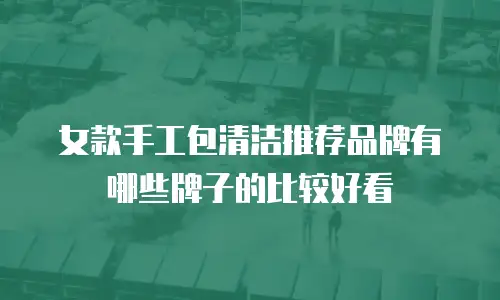 女款手工包清洁推荐品牌有哪些牌子的比较好看