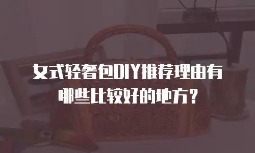 女式轻奢包DIY推荐理由有哪些比较好的地方？