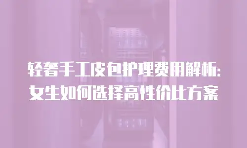 轻奢手工皮包护理费用解析：女生如何选择高性价比方案