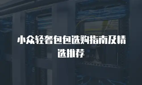 小众轻奢包包选购指南及精选推荐