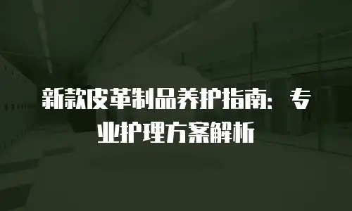 新款皮革制品养护指南：专业护理方案解析