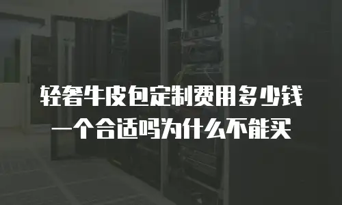 轻奢牛皮包定制费用多少钱一个合适吗为什么不能买