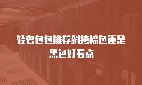 轻奢包包推荐斜挎棕色还是黑色好看点