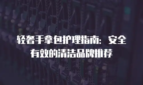 轻奢手拿包护理指南：安全有效的清洁品牌推荐