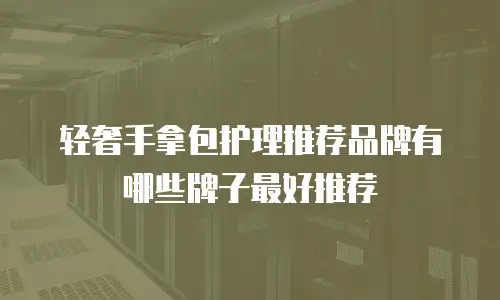 轻奢手拿包护理推荐品牌有哪些牌子最好推荐