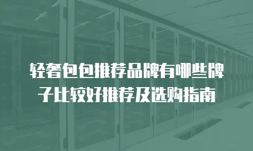 轻奢包包推荐品牌有哪些牌子比较好推荐及选购指南