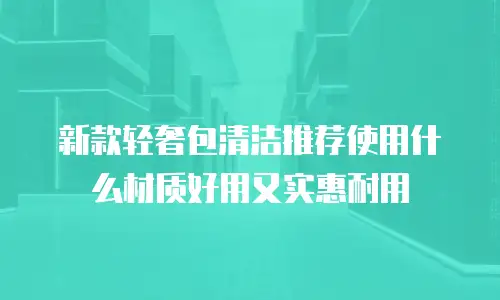 新款轻奢包清洁推荐使用什么材质好用又实惠耐用