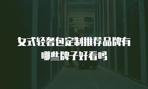 女式轻奢包定制推荐品牌有哪些牌子好看吗