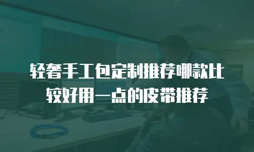 轻奢手工包定制推荐哪款比较好用一点的皮带推荐