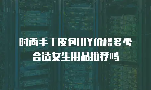 时尚手工皮包DIY价格多少合适女生用品推荐吗