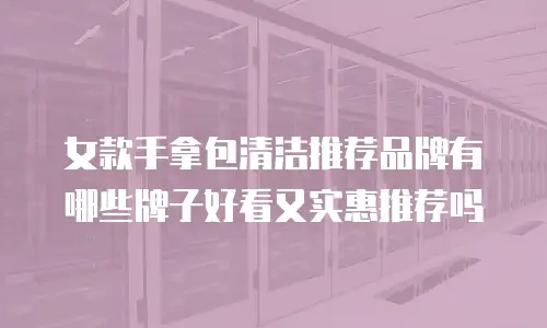 女款手拿包清洁推荐品牌有哪些牌子好看又实惠推荐吗