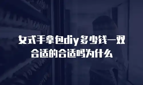 女式手拿包diy多少钱一双合适的合适吗为什么
