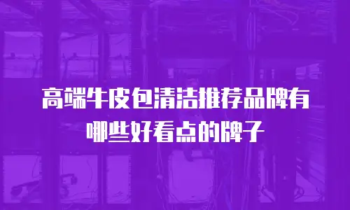 高端牛皮包清洁推荐品牌有哪些好看点的牌子