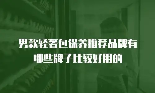 男款轻奢包保养推荐品牌有哪些牌子比较好用的