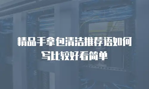 精品手拿包清洁推荐语如何写比较好看简单