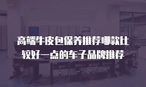 高端牛皮包保养推荐哪款比较好一点的车子品牌推荐