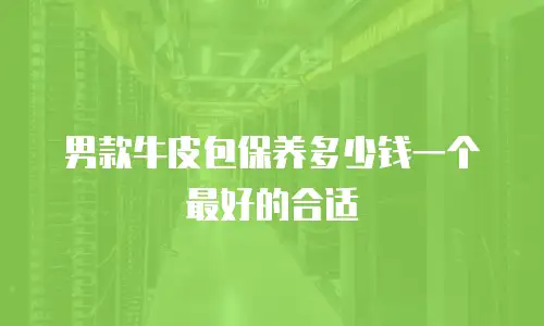 男款牛皮包保养多少钱一个最好的合适