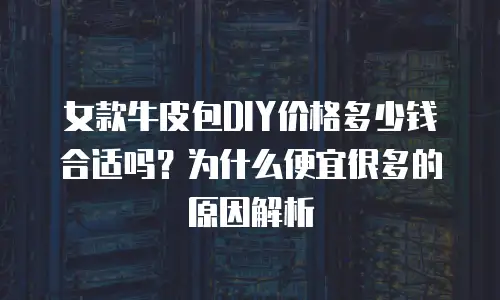 女款牛皮包DIY价格多少钱合适吗？为什么便宜很多的原因解析