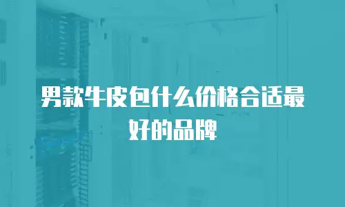 男款牛皮包什么价格合适最好的品牌