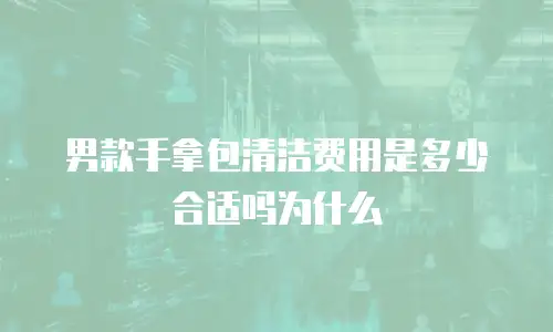 男款手拿包清洁费用是多少合适吗为什么