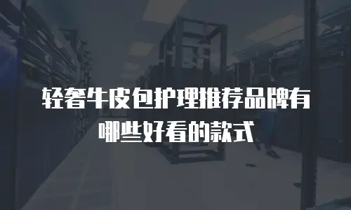 轻奢牛皮包护理推荐品牌有哪些好看的款式