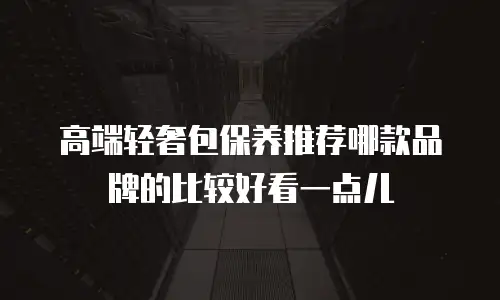 高端轻奢包保养推荐哪款品牌的比较好看一点儿