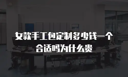 女款手工包定制多少钱一个合适吗为什么贵