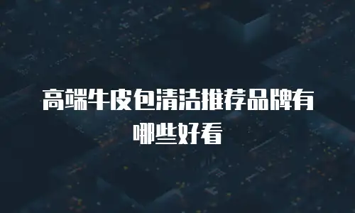 高端牛皮包清洁推荐品牌有哪些好看
